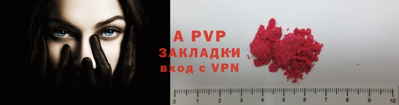 ГАЛЛЮЦИНОГЕННЫЕ ГРИБЫ Строитель