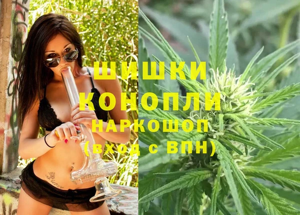 ПСИЛОЦИБИНОВЫЕ ГРИБЫ Волосово