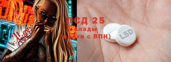 ГАЛЛЮЦИНОГЕННЫЕ ГРИБЫ Строитель