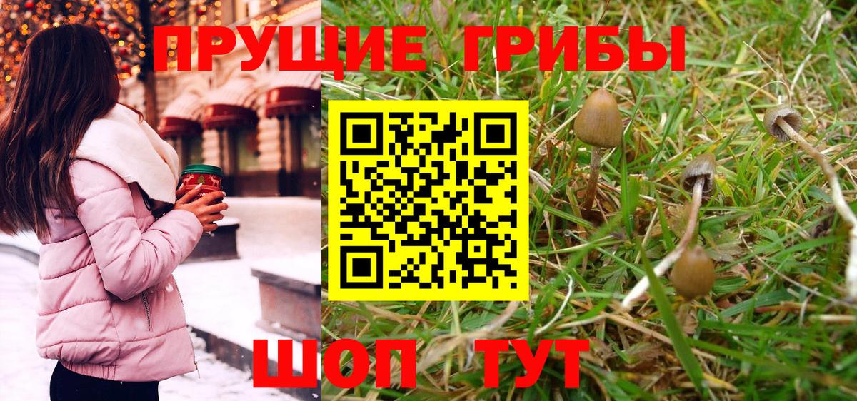 Славянск-на-Кубани  Псилоцибиновые грибы Cubensis  Вход с VPN 